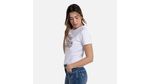 QUE213250006-18-4